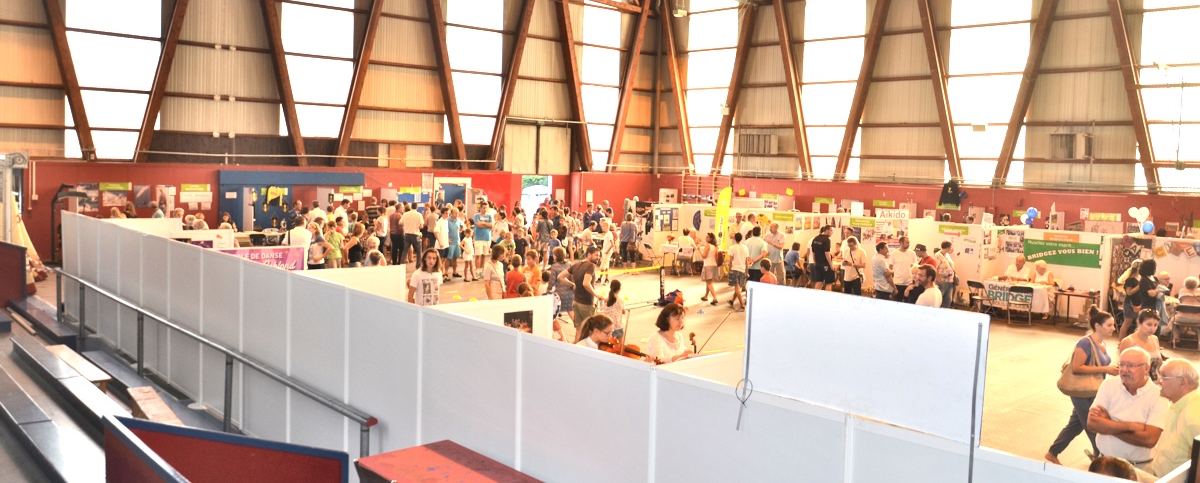 portail des association tassilunoise