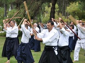 Stage d’aïkido traditionnel à La Réunion : les pratiquants de Tassin au cœur de l’île intense