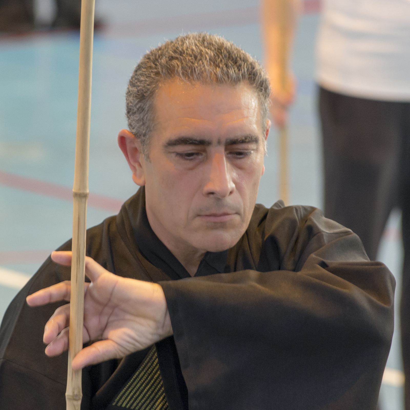 Fête des Arts Martiaux